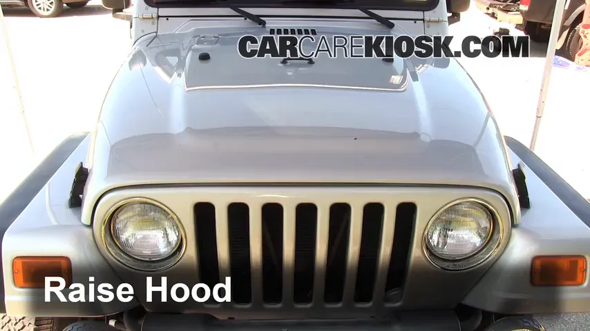 2004 Jeep Wrangler Rubicon 4.0L 6 Cyl. Hood